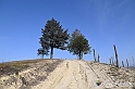 VBS_1136 - Santo Stefano Roero
